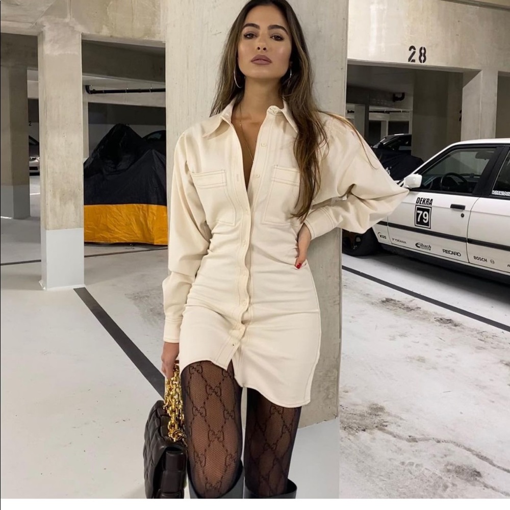 Zara button closure dress bloggers favorite - Picture 9 of 15